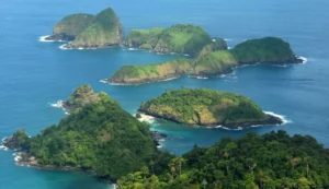 ciri rental mobil penipu di banyuwangi